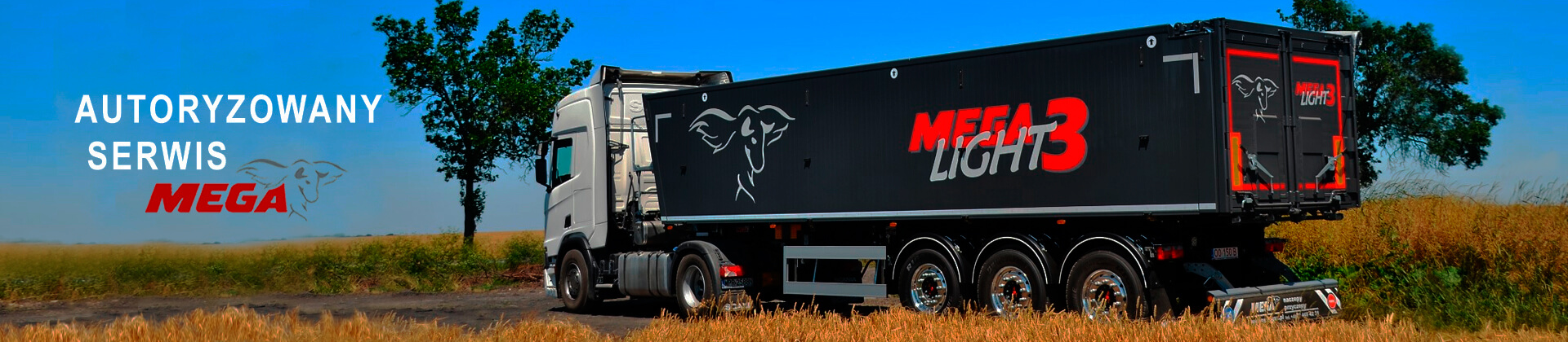 mega-nysa-serwis